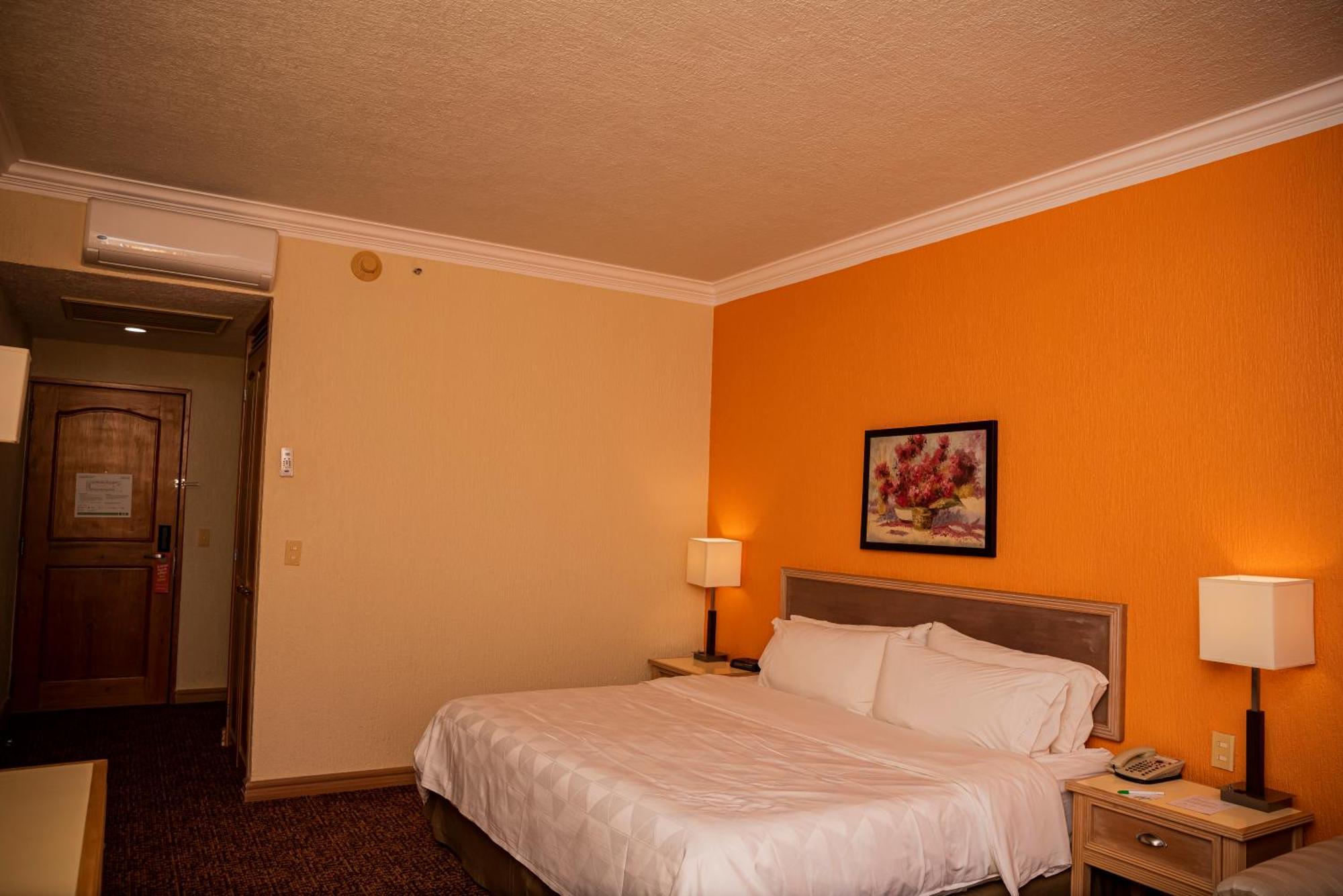 Holiday Inn La Piedad By Ihg Dış mekan fotoğraf